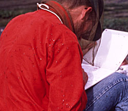 Field work in Labrador, mosquitos, and Tom Musselman